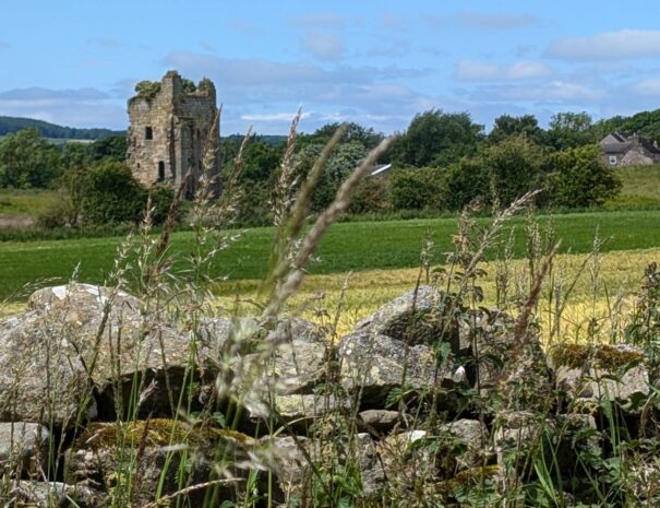 Ravensworth castle