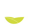 CHS-Logo-Sr