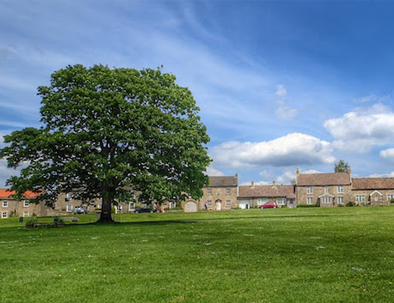 The Village Green